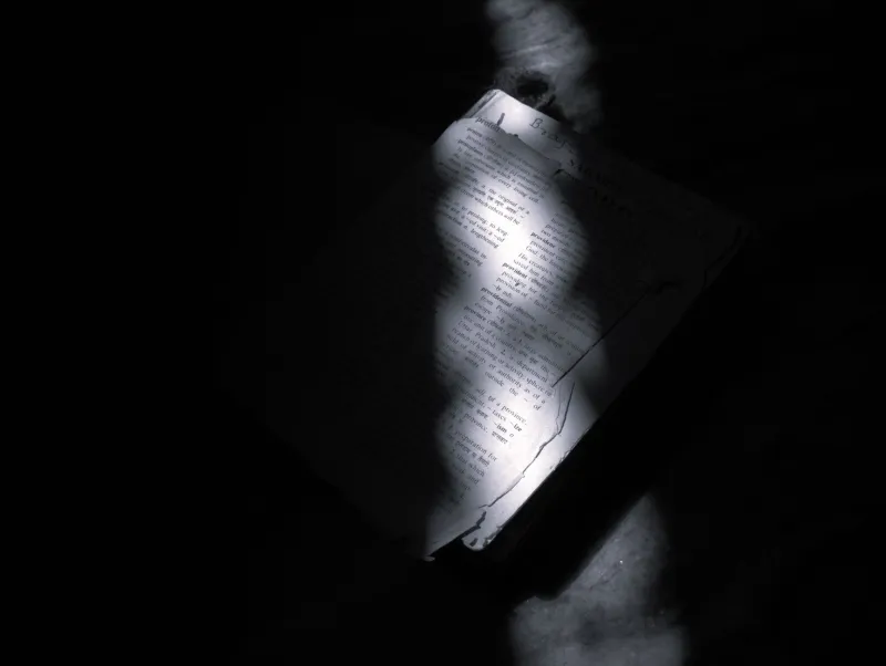 Who's Really Telling the Story? The Rise of the Narrator You Can't Quite Trust